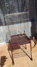 Gabbia grande con ruote
