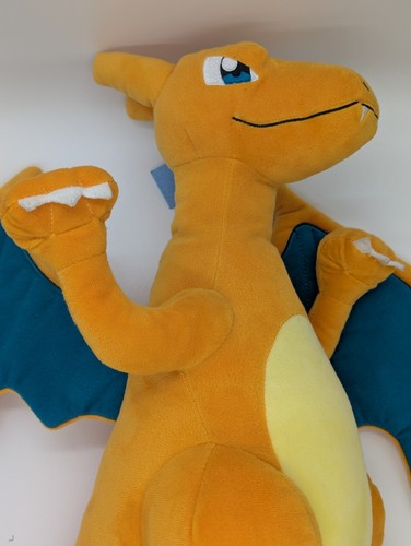 Charizard ciao allenatore