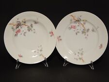 ANTICO RARO SERVIZIO TAVOLA 10 PIATTI PORCELLANA GINORI FINE 800 RAMO FIORITO