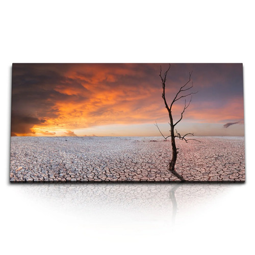 Quadri stampa artistica 120x80