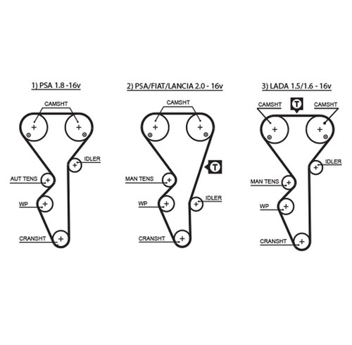 Cinghia distribuzione gates - distribuzione,