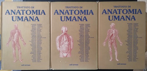 Trattato anatomia umana - trattato,