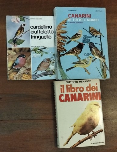 Lotto libri sui - libri,