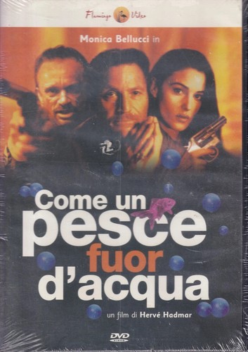 Come pesce fuor acqua dvd - come, d'acqua