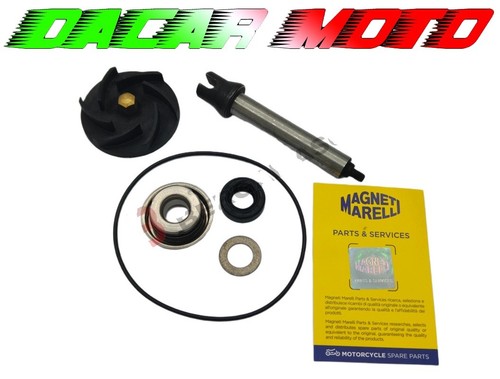 Kit revisione pompa acqua - revisione,