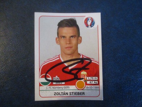 Zolta stieber panini - zolta,