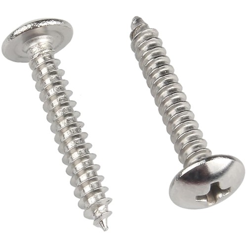 Viti legno inox m5x20mm - legno,
