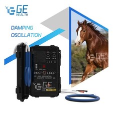 Magnetoterapia PMST Loop pemf per macchina riabilitazione malattie del cavallo veterinario