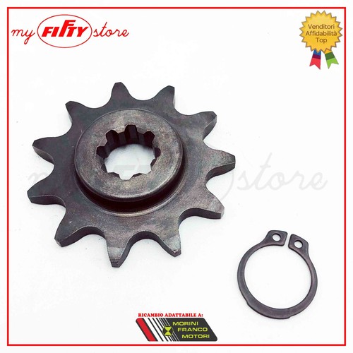 Pignone motore z11 franco - pignone,