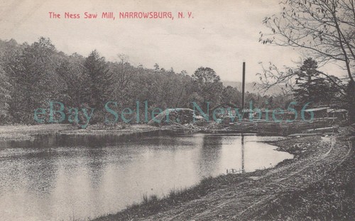 Narrowsburg ness saw mill - ness,