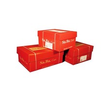 Carta in modulo continuo - 24