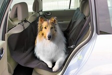 Full Protector Basic