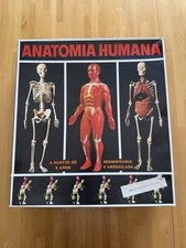 Gioco Vintage Anni 70  Corpo Umano ANATOMIA HUMANA