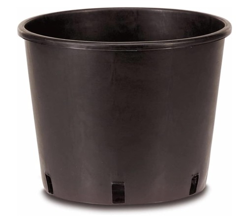 Niccolai nicco shop - -,