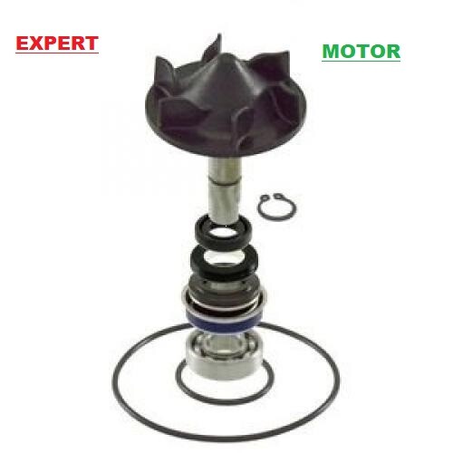 Kit revisione pompa acqua - kit,