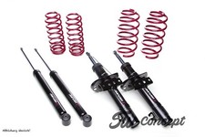 Assetto sportivo Vogtland per