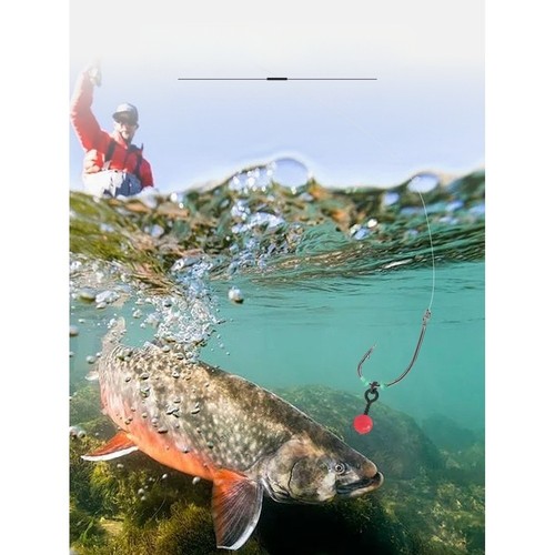 Kit attrezzatura pesca carpa