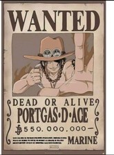 One Piece - Poster Ricercato