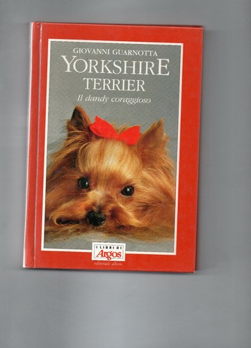 Yorkshire terrier - terrier,