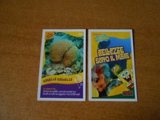 FIGURINA CARD SPONGEBOB CRAI - SERIE BELLEZZE SOTTO IL MARE - N. 95 - CS.35