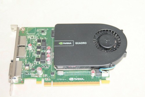Scheda video professionale - scheda,