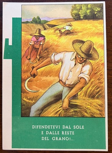 CARTOLINA-FEDERAZIONE