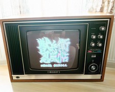 RARE Vintage Sony Trinitron