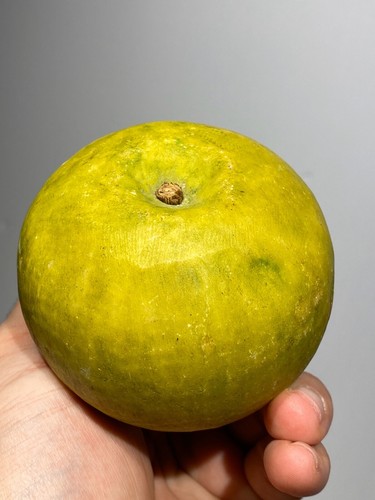 Antica pietra alabastro - antica, di