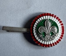 CNGEI Scout Coccarda Metallica