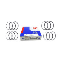 Set di fasce elastiche SM per