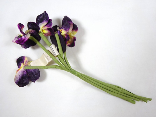 Spruzzatore pansies viola - pansies,