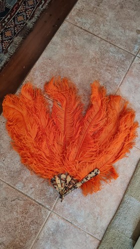 Ventilatore piuma di - piuma,