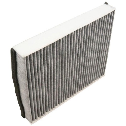 Filtro antipolline interno