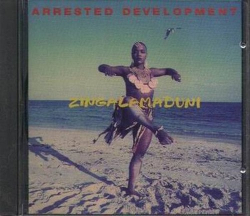 Zingalamaduni arrested - zingalamaduni,