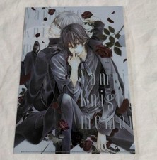 Vampire Knight Memories Vol 10 & Lala Manga 24 novembre Clear File Zero Yuki Kaname