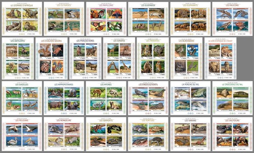 Wildlife animali africani - animali,