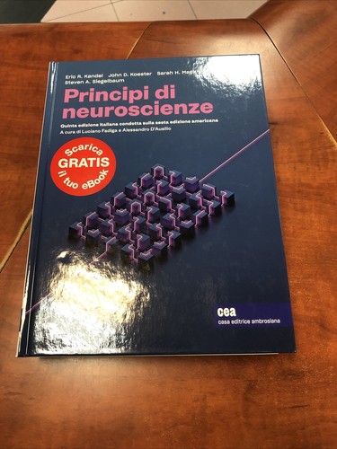 Kandel principi - kandel-principi, di