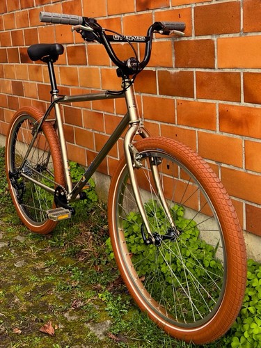 Poulidor mtb custom - poulidor,