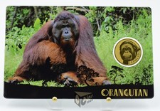 Orango - Asia's Big 5 - 1/1000