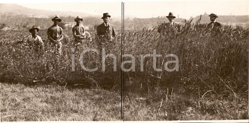 1930 campagna genovese - 1930, ca