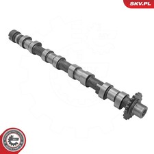 Bronzina Motore 0801.EW per