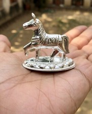 Cavallo religioso indù Shani