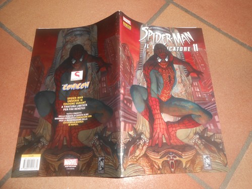 Spider man vendicatore - vendicatore, 11