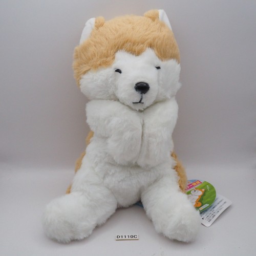 D1110c hesoten akita - hesoten, cane