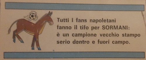 Figurina calciatori panini - figurina,
