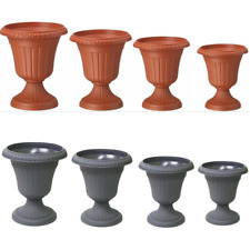 Ciotola Piante Milano