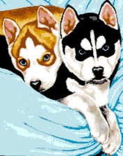 SCHEMA SCHEMI PUNTO CROCE