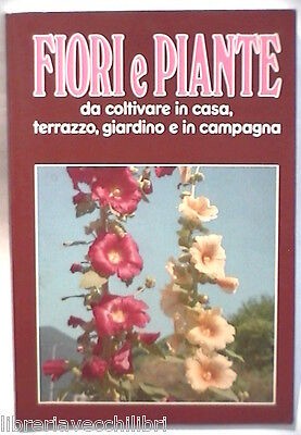 Fiori piante coltivare in - e,