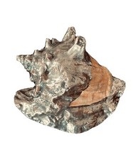 Conchiglia argentata 925 tipo
