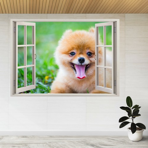 Adesivo parete pomerania - da,